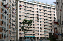 Blk 213 Petir Road (Bukit Panjang), HDB 5 Rooms #221552
